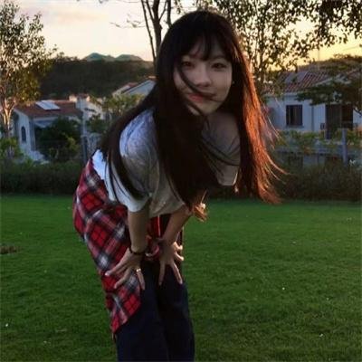 双凤奇缘